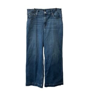 J.Crew Classic Wide-Leg Jeans Blue High Rise Stretch Denim Women's 33 36x29